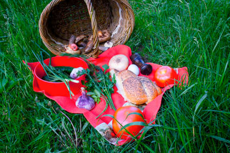Summer picnic in the meadow on the green grass.の写真素材