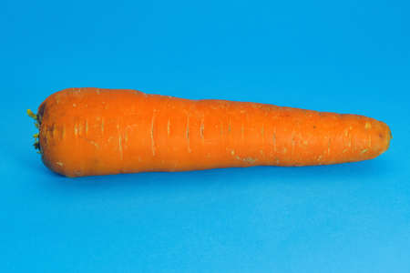 Close up orange ripe carrot on a colorful light blue background.の写真素材