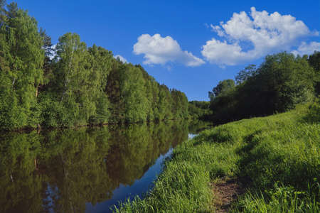 Summer landscape, forest trees are reflected in calm river water against a background of blue sky and white clouds.の写真素材
