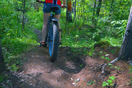 A young woman rides along a forest path on a fat bike on a sunny summer day.の写真素材