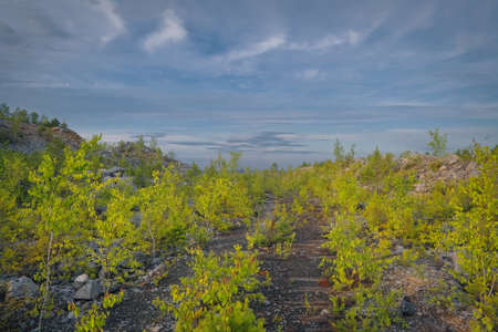Majestic sunset in the mountains forest. Dramatic sky and clouds. Ural mountains.