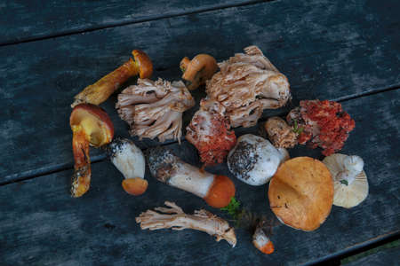 A variety of freshly picked forest mushrooms on the background of an old wooden table close-up.の写真素材