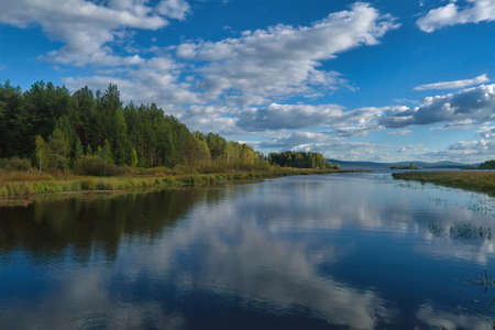 Summer landscape, forest trees are reflected in calm river water against a background of blue sky...