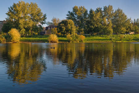 Trees with fall foliage are reflected in the water. A flock of wild ducks swims along the river.
