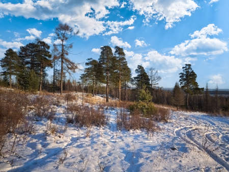 Majestic sunset in the winter mountains landscape. Sunrise in the snowy forest.の写真素材
