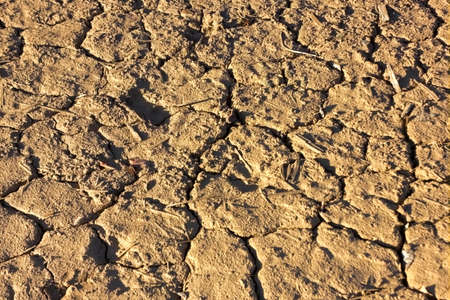 Close-up of dry soil in arid climate. Cracked ground in a desert.の写真素材