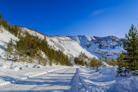 Winter landscape in the mountains on a sunny frosty day. Frosty day in snowy coniferous forest.