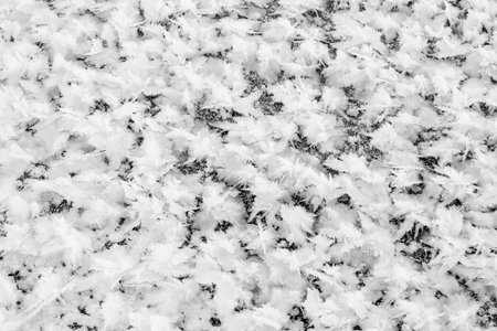 Big fluffy snowflakes close up on the surface of the ice. Winter and Christmas background.の写真素材