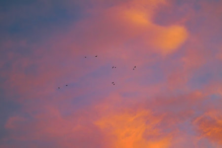 Evening sky in the picturesque clouds, lit by the rays of the setting sun.