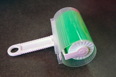 Reusable Lint Remover Washable Silicone Dust Cleaner Cat Dog Brush Shaving Tools Pet Hair Removal Cleaning Hair Brush Sticky Roller. close up.の写真素材