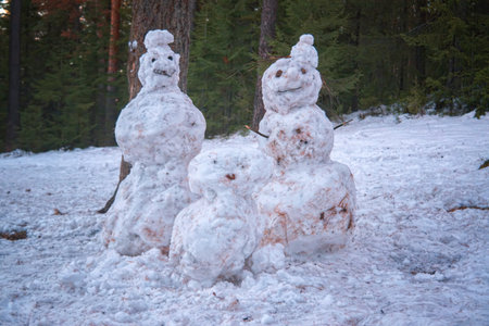 Three snowmen in the forest against a background of coniferous trees. Family of snowmen.の写真素材