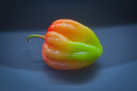 Fresh ripe Caribbean red habanero hot pepper on a light table background.