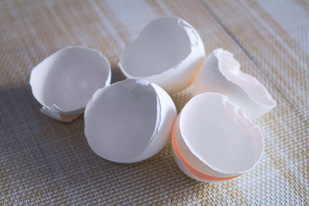 Close up of a broken white eggshel.