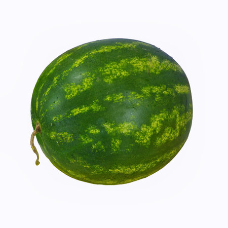 Watermelon isolated on white background. Ripe fresh Watermelon.の写真素材