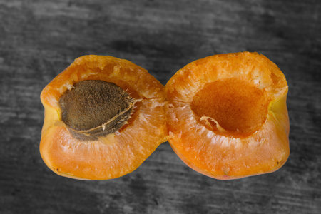 Ripe apricot with pit on a gray wooden surface close-up.の写真素材