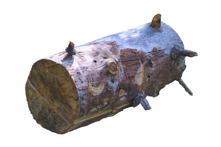 Old rotten log isolated on a white background close-up.の写真素材