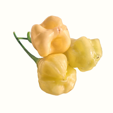 Hot pepper Aji white on a white background.の写真素材