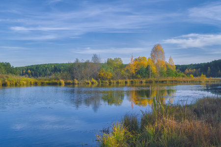 Autumn nature landscape. Forest river and yellowed autumn trees on an autumn evening, autumn...