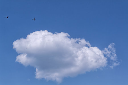Summer clouds in blue sky in daylightの写真素材