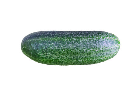 Ripe green cucumber isolate on a white background.の写真素材