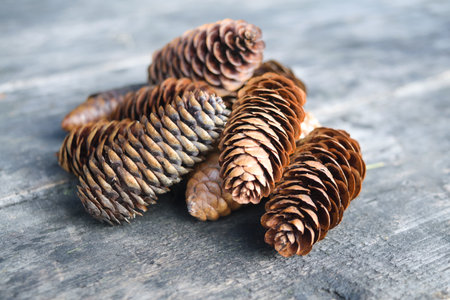 Brown dry pine cones on a wooden background close-up
