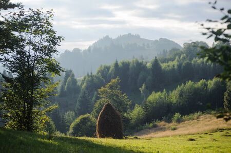 Majestic mountains landscape with fresh green leaves and one haycockの写真素材