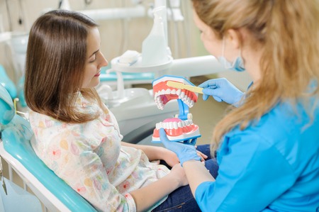 Young woman dentist showing dental jaw model to female patient in dentist's clinic. Dentistry. Stomatology tools. Dental care and treatment.の写真素材