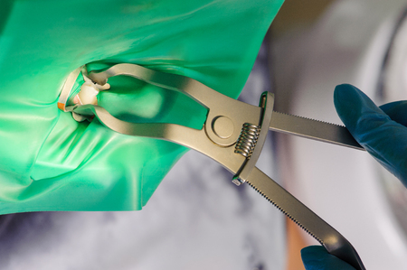 Oral procedure concept. Isolated tooth, close-up of dentist holding dental device for fixing teeth. Dental health. Professional dental care for people.の写真素材