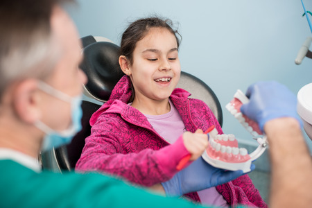Smiling girl in dentist chair educating about proper tooth-brushing by her pediatric dentist, using dental jaw model and toothbrush in dental clinic. Dentistry, early prevention, oral hygiene concept.の写真素材