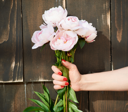 Cropped close up shot of a bouquet of pink peonies in a female hand wooden background love romance flirt flirtatious flowers floral natural gift present congratulations concept.の写真素材