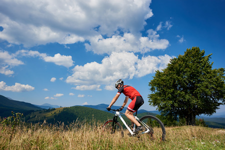 Young athletic sportsman biker in professional sportswear riding a bike in high grass with big green tree and beautiful mountains view in distance. Active lifestyle and extreme sport concept.の写真素材