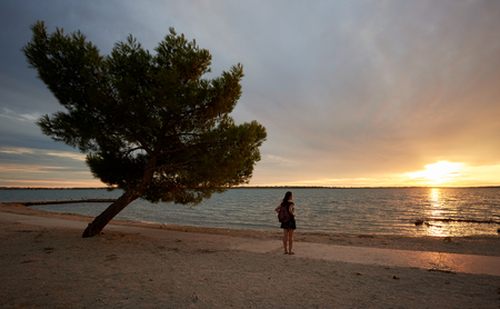 Silhouette of tourist woman in short dress and with backpack standing alone near big tree at water edge, enjoying beautiful seascape at sunset. Tourism and vacations concept.の写真素材