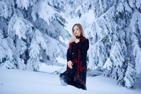 Attractive woman in dark blue embroidered long sleeveless sheepskin fur coat and kerchief with floral design outdoors in deep snow on winter day on blurred background of snowy spruce trees.の写真素材