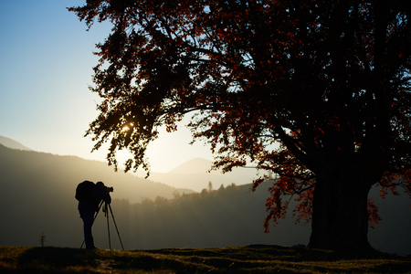 Tourist photographer with backpack using tripod and professional camera to take picture of mountain panorama standing under big tree on woody foggy mountains landscape and blue sky background.の写真素材