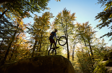 Silhouette of cyclist standing on back wheel on trial bicycle, male biker balancing on the edge of big boulder in the forest on summer sunny day. Concept of extreme sport active lifestyleの写真素材