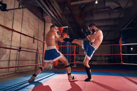 Martial fighter practicing kickboxing with sparring partner, fighting in the ring at the health clubの写真素材
