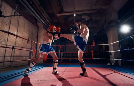 Two professional men boxers exercising kickboxing in the ring at the health clubの写真素材