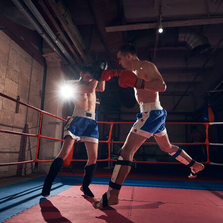 Two professional sportsmen boxers training kickboxing in the ring at the sport clubの写真素材