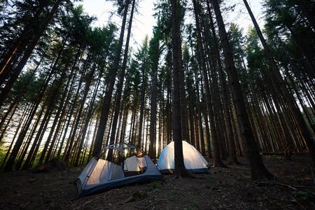 Summer camping in the morning. Two tourist white tents at campsite in the beautiful forest in the mountains. Tourism outdoor active lifestyle conceptの写真素材