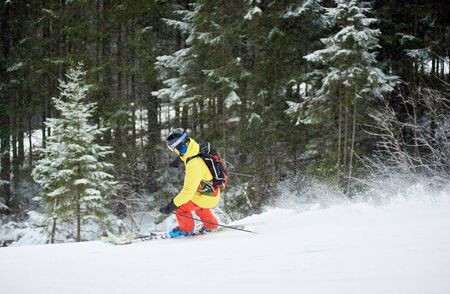 Freerider backpacker rushing down and making snow powder on snow-covered slope. Mountain coniferous...