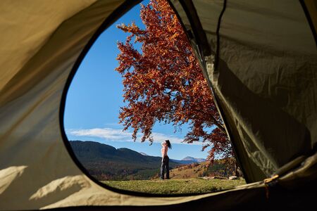 Rear view of slim sportive dark-haired young woman standing under big tree with golden leaves in front of tourist tent, view from inside, on grassy valley on background of hills and bright blue sky.の写真素材