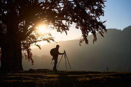 Profile of male traveler tourist with camera tripod lit by bright setting sun hiking on grassy valley, on background of beautiful mountain panorama at dusk under big tree with golden leaves.の写真素材