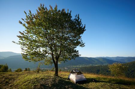 Summer camping in the mountains. Tourist white tent at campsite near big tree at sunrise in the morning. Tourism adventure outdoor conceptの写真素材
