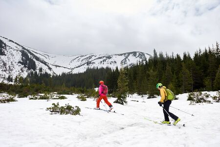 Two hikers with backpacks walking in skis on snow-covered valley near forest between fir trees. Back view. Winter adventures in mountains. Winter mountain view under white sky with copy spaceの写真素材