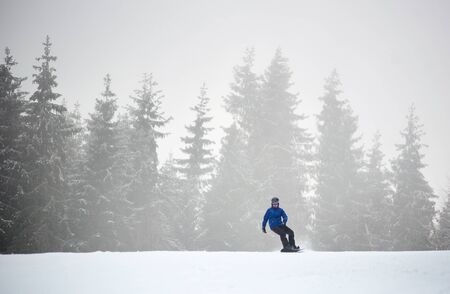 Woman snowboarder sliding on flat snow-covered road. Poor visibility in snowfall. Coniferous forest on background. Copy space. Monochrome view. Freedom, sport, winter activities conceptの写真素材