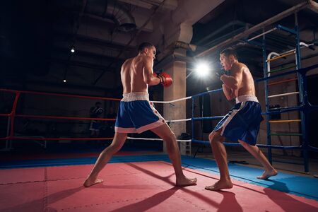 Two strong male sportsmen boxers fighting in the ring at the sport clubの写真素材