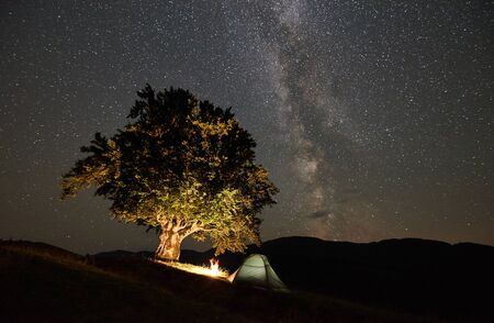 Tourist camping near big tree at night in the mountains. Illuminated tent and bonfire under amazing beautiful night sky full of stars and Milky wayの写真素材
