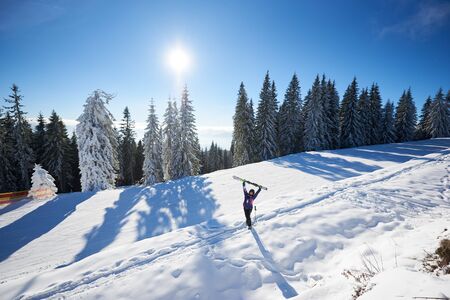 Happy woman with skis in center of amazing panoramic view of sky and forest. Snow-covered mountain hill in sunny day during winter vacation. Skier rejoicing with skis raising up in hands. General viewの写真素材