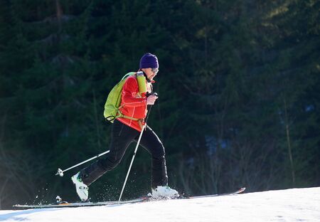 Male skier backpacker in sunglasses walking on skis up snowy hill on background of ever-green spruce trees of mountains wood on sunny cold day. Tourism, sport and recreation concept.の写真素材