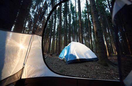 Summer camping in the morning. View from tent inside of camp in the forest and rising sun at campsite. Tourism adventure lifestyle conceptの写真素材